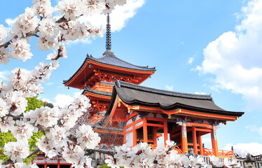 Kiyomizu-dera Temple (Clean Water Temple) and blooming sakura branches. Spring time in Kyoto, Japan - obrazy, fototapety, plakaty