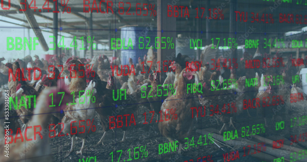 Sticker Image of financial data processing over chickens at farm