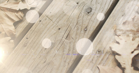 Image of light spots over leaves on wooden background