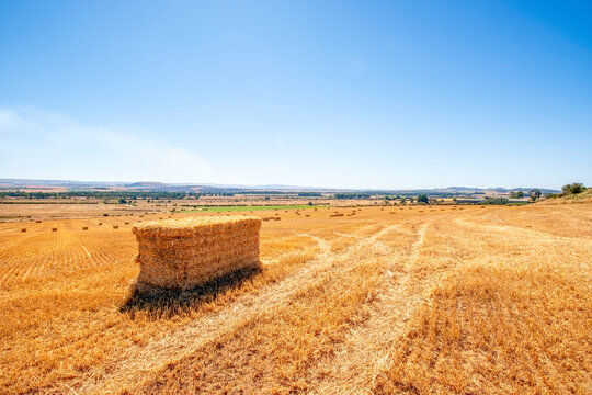 Stack of hay bales in harvested field