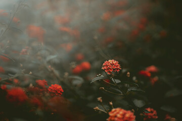 Moody aesthetic fall floral background with copy space