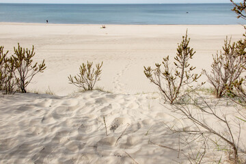 Sandy beach in Jastrzebia Gora in Poland, with shrubs visible