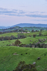 The Cathedral Range State Park located in Victoria, Australia, approximately 100 kilometres north-east of Melbourne. It is situated between the towns of Buxton and Taggerty and runs parallel to the
