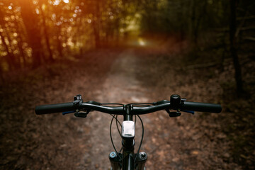 Mountain bike in the woods. Bicycle with forest background. Active outdoor lifestyle concept.