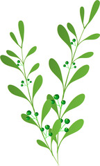 Green leaf design element isolated on transparent background.