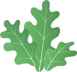 Green leaf design element isolated on transparent background.