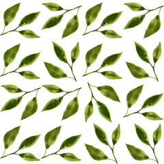 Fototapeta na wymiar Watercolor seamless pattern with simple leaves drawing. Romantic nature background in pastel colors on white.