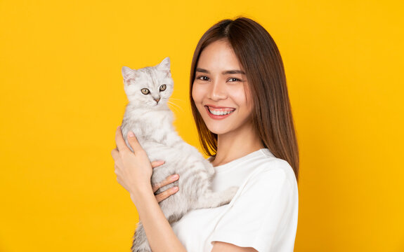 Studio shot of cheerful beautiful Asian woman hands holding a small white kitten with black stripes, of the Scottish fold breed on orange background.