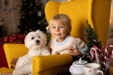 Cute toddler child, boy and his maltese dog, sitting on a yellow armchair in a decorated room for Christmas