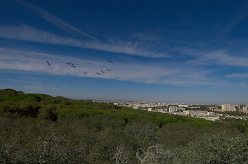 Panoramic view towards a city