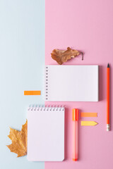 Blank white notebooks on a pink-blue background with orange pencils and markers. Hi School