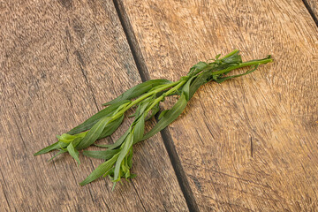 Green tarragon herb spice for cooking