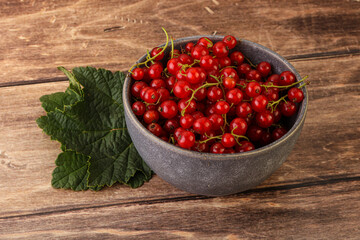 Ripe sweet organic red currant heap