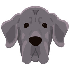 Simple and adorable Great Dane illustration front face flat colored