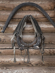 Old worn out horse harness fixed on the wall of a  wooden house