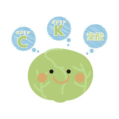 キャベツの栄養素