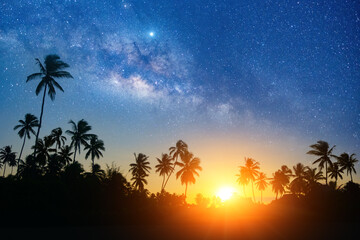 Summer evening starry sky background sunset over coconut trees silhouettes