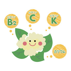 カリフラワーの栄養素