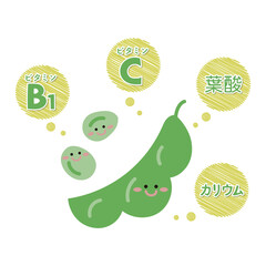 枝豆の栄養素