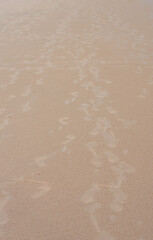 Fototapeta na wymiar Footsteps on Sand. Footprints on Sandy Sea beach. Puri Orissa India.