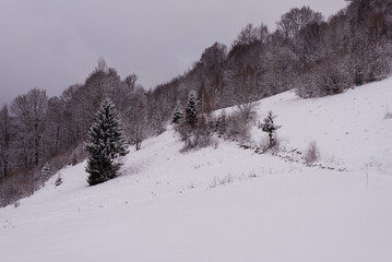 Winter landscape. Mountain slope covered with snow.