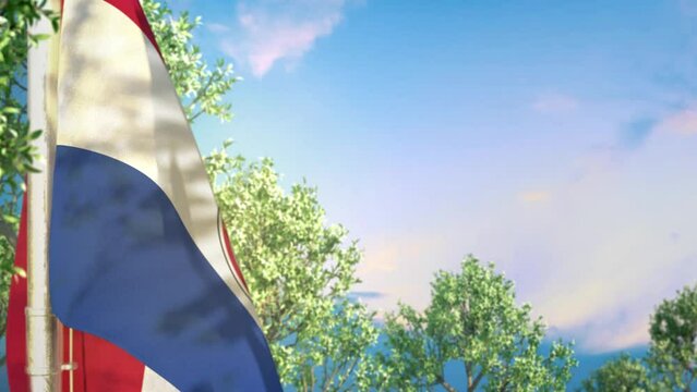 Waving flag of Paraguay on forest and blue sky background