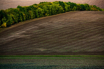 Fototapeta premium Image of a landscape with fertile soil from the Republic of Moldova. Black arable land good for sowing. Ecological agriculture.