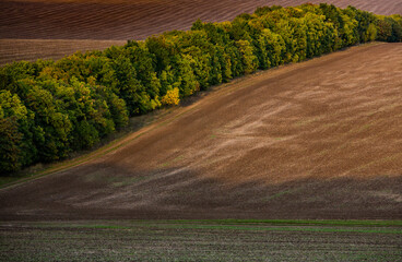 Image of a landscape with fertile soil from the Republic of Moldova. Black arable land good for sowing. Ecological agriculture.
