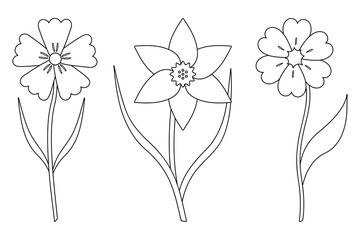 Flowers. Sketch. Set of vector illustrations. Cornflower, daffodil. Delicate plants with leaves. Flowering plants. Coloring book for children. Doodle style. Outlines on an isolated background