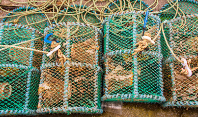 Krabben und Hummer Fangkorb in Schottland,   Vereinigten Königreich 