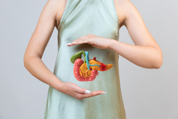 woman holding pancreas in the hands. Help and care concept - obrazy, fototapety, plakaty