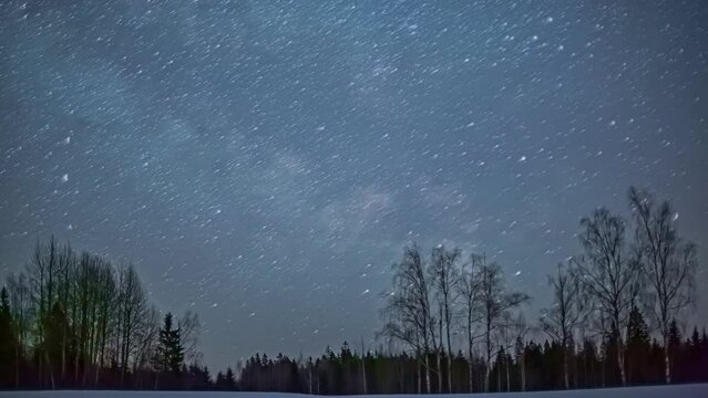 Star trails moving in the dark sky, forest silhouette with magical starry sky, Time Lapse