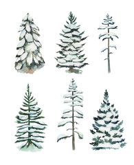 Collection of watercolor snowy pine trees and firs, hand drawn isolated illustration on white background