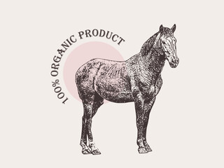 Vector horse illustration organic product label poster 