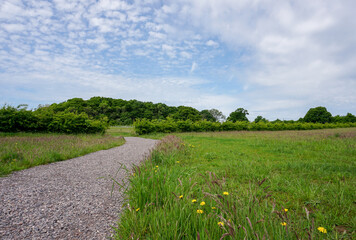 outdoor landscape with gravel track through grassland. Open green spaces to walk
