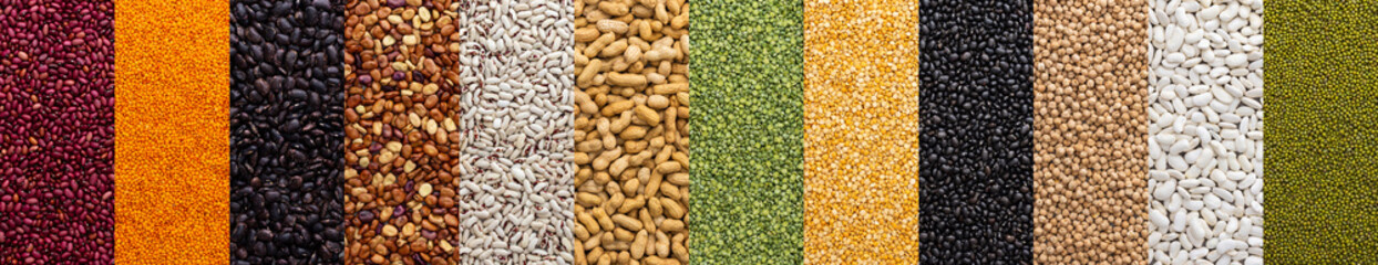 Banner of different types of legumes , chickpeas and peas, colorful beans and lentils, mung beans...