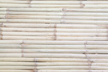 Dry Bamboo Background