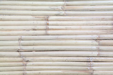 Dry Bamboo Background