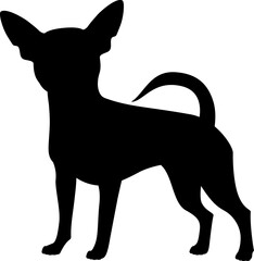 Isolated black silhouette of standing chihuahua on white background. Flat cartoon breed dog. - obrazy, fototapety, plakaty