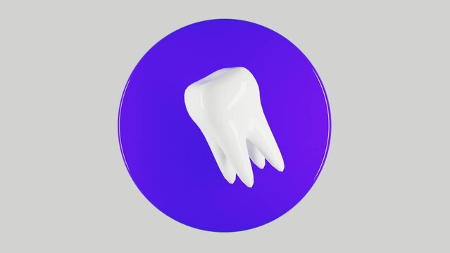 Whitening tooth rotating on purple podium looped 3d animation.