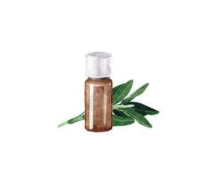Watercolor illustration with essential oil of clary sage. Hand drawn  bottle of essential oil with branch and leaves on a transparent background. Herbal medicine and aroma therapy.