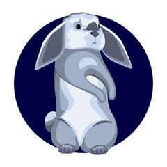 Gray rabbit on the background of a dark blue circle