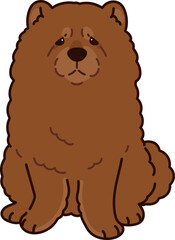 Simple and adorable Brown Chow Chow dog illustration sitting in front view