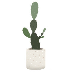 cactus in a pot - 533326133