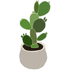 plant in pot - 533326144