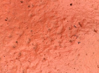 Orange Wall Cement Backgrounds & Textures