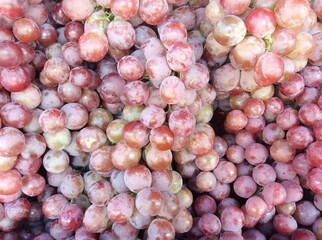 Closeup of fresh red grapes
