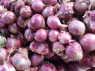 Shallot onions a group