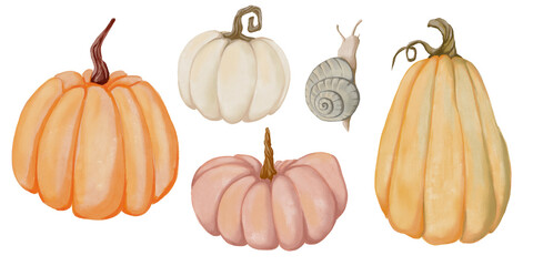 Watercolor illustrations of orange, white, pink pumpkings and snail