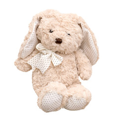 Cute plush rabbit on a white background